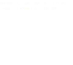 pockets fastened with glue tape in contrast color