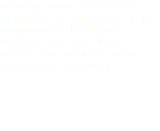 densely woven polyester nylon as an outer shell is combined with purple Cordura for the shawl collar puffed vest with integrated backpack